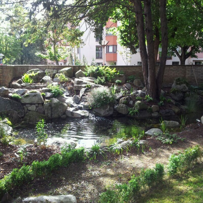 20140507_093703 800X800 | Entretien du jardin Photos page d’accueil Kingersheim 10