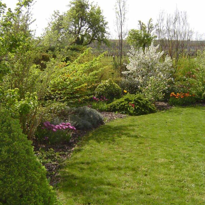 358 800X800 | Entretien du jardin Aménagement de Jardin & Entretien de Massif à Colmar et aux alentours Rixheim 4
