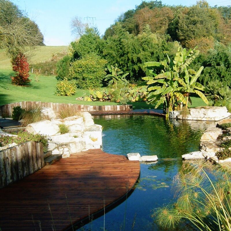 D1000009 800X800 | Entretien du jardin Photos page d’accueil Riedisheim 1