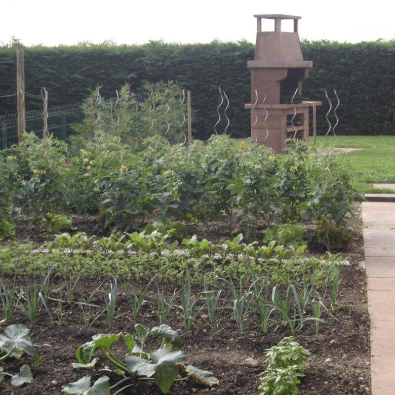DSC00824 800X800 | Entretien du jardin Aménagement de Jardin & Entretien de Massif à Colmar et aux alentours Wittelsheim 6