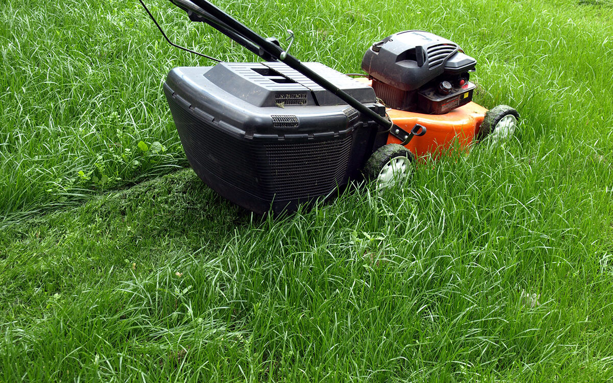 TONTE 1200X750 | Entretien du jardin Entretien de pelouses à Logelheim Illzach