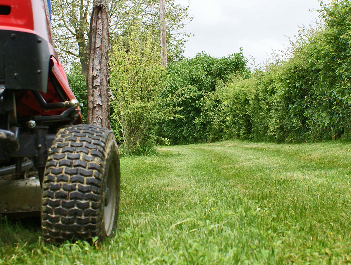 TONTE 3 | Entretien du jardin Tonte / entretien de pelouse à Sainte-Croix-en-Plaine