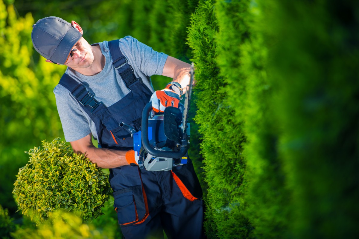 FOTOLIA_85133347_SUBSCRIPTION_MONTHLY_XL | Entretien du jardin Aménagement de Jardin & Entretien de Massif à Colmar et aux alentours Sélestat 0