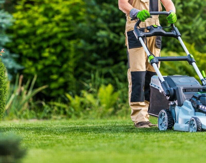 Photos footer S&eacute;lestat 2